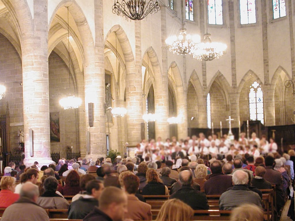 Illustration de l'événement : GRAND CONCERT D'ÉTÉ DU CHOEUR DE LOZÈRE