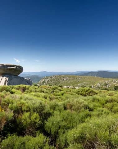 Illustration de l'événement : VISITE EXPRESS SPÉCIALE LOZÈRE