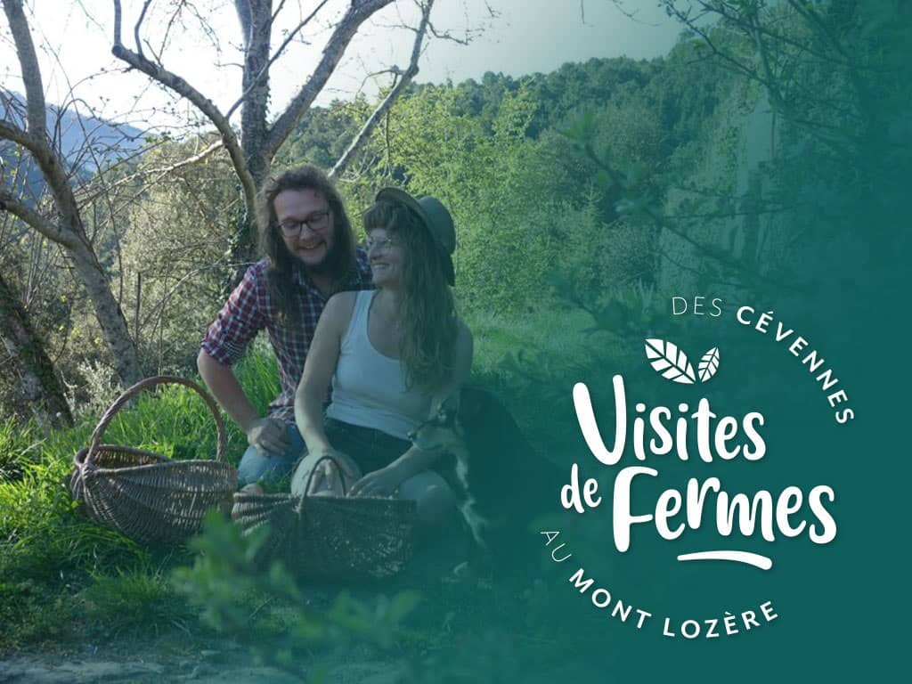 Illustration de l'événement : VISITES DE FERMES 2026: LA FERME SIMONE