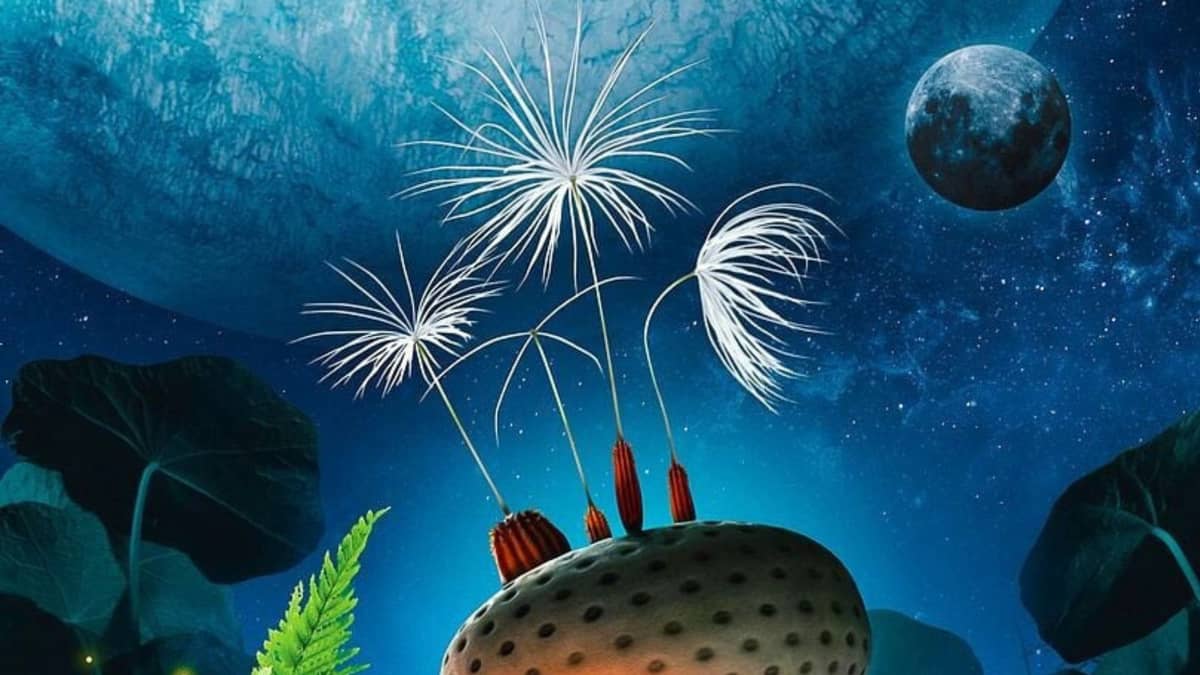Illustration de l'événement : CINECO : PLANÈTES