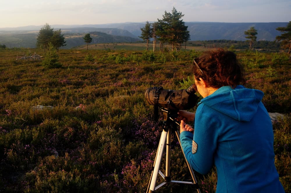 Illustration de l'événement : SOIREE ASTRONOMIE EN CEVENNES