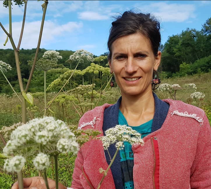 Illustration de l'événement : Ateliers "avec les plantes"