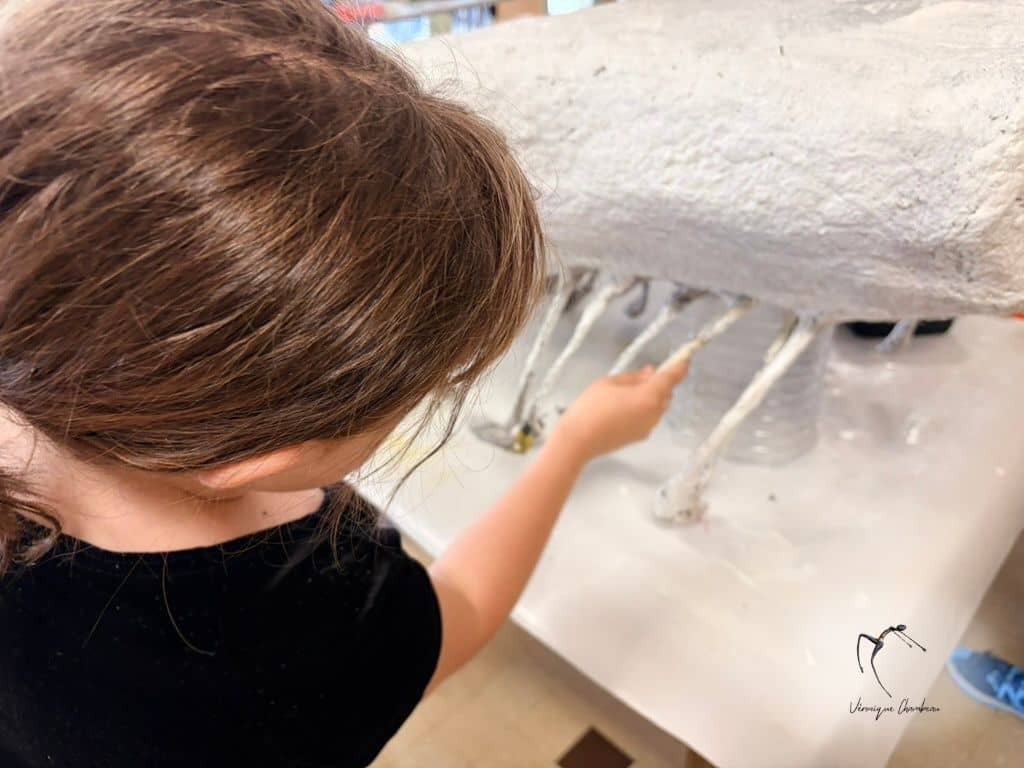 Illustration de l'événement : Ateliers d'initiation ou de perfectionnement à la technique du papier mâché et à l'upcycling