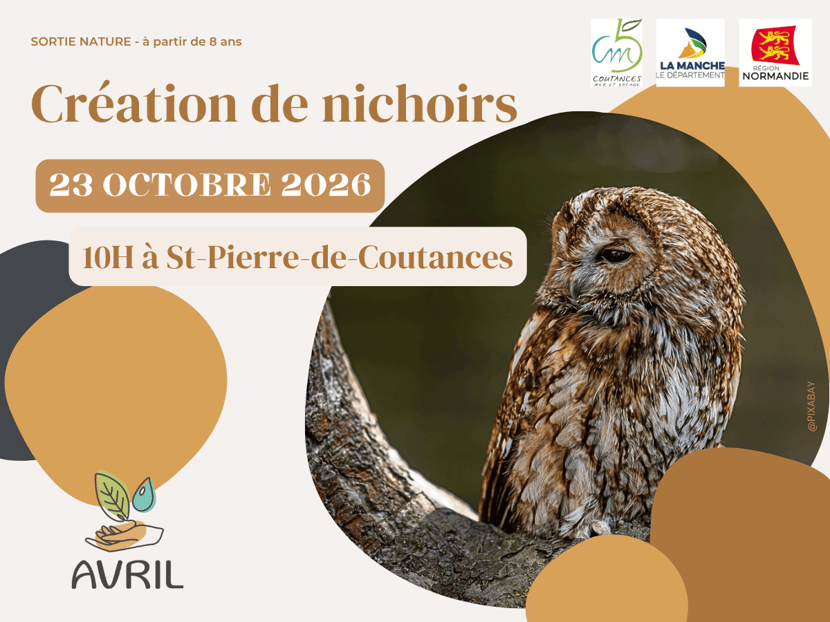 Illustration de l'événement : Création de nichoirs
