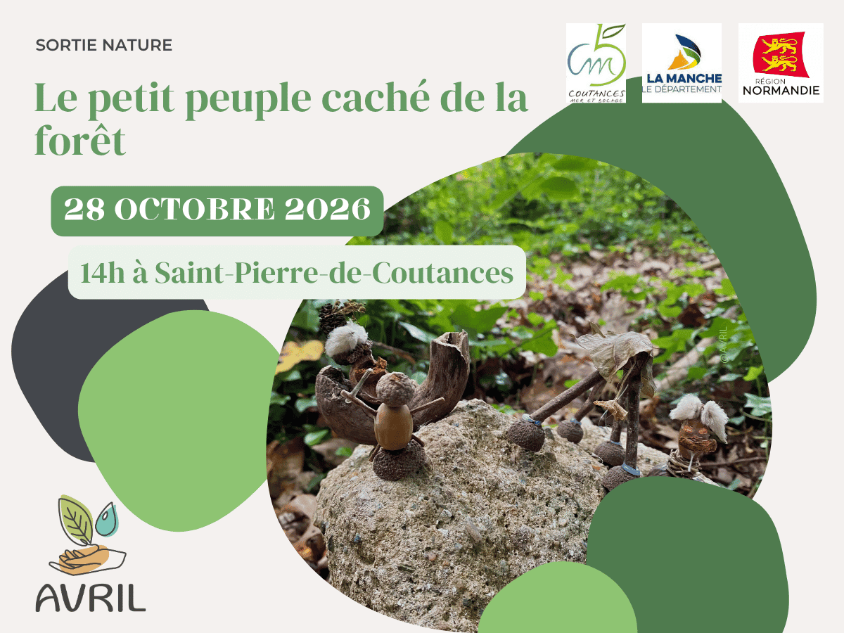 Illustration de l'événement : Le petit peuple caché de la forêt