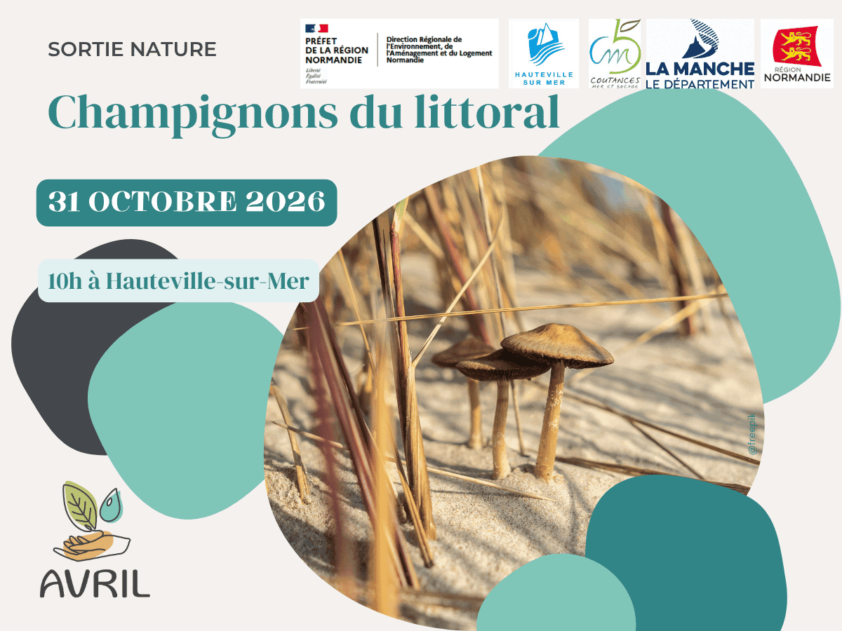 Illustration de l'événement : Champignons du littoral