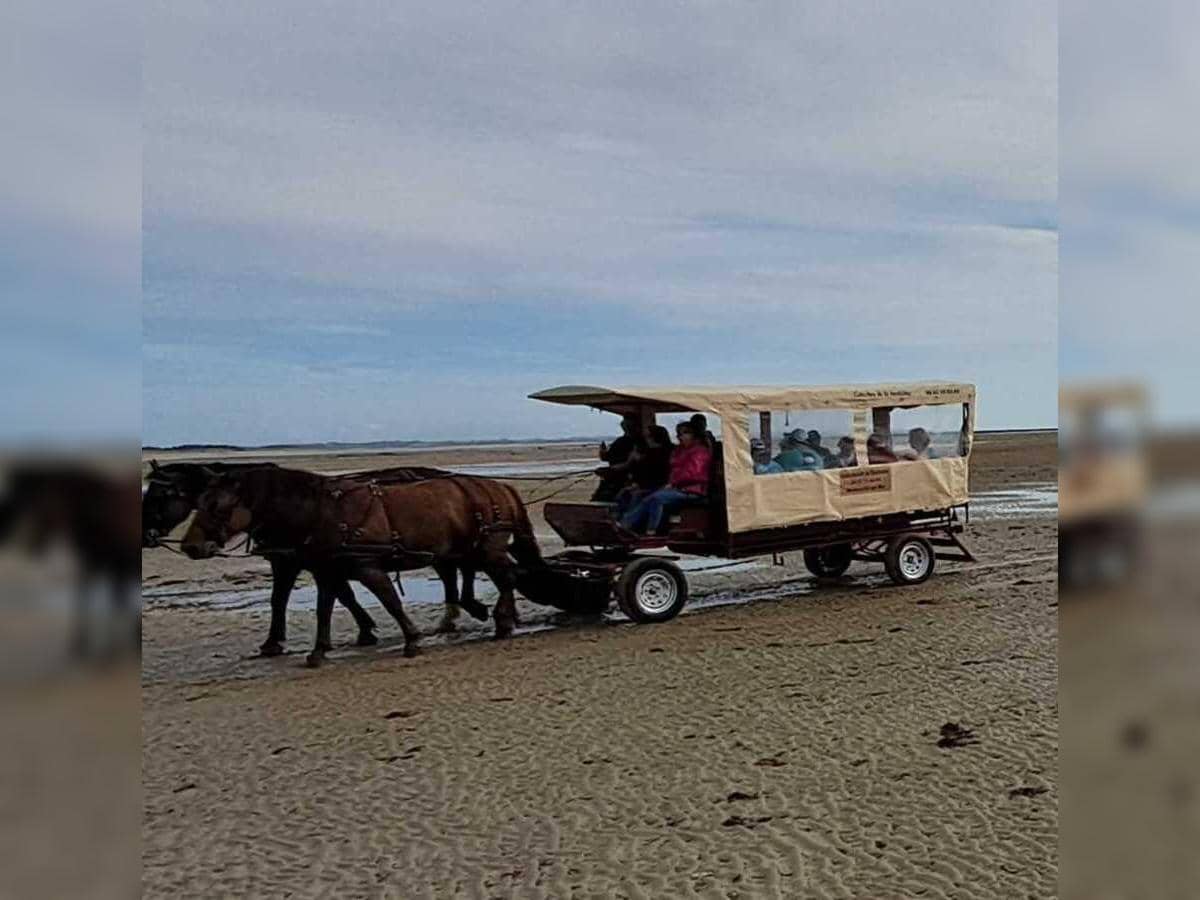 Illustration de l'événement : Découverte de la Pêcherie "La Maillard" en calèche