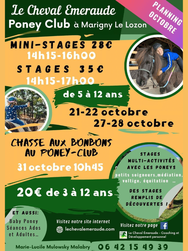 Illustration de l'événement : Planning Vacances d'automne > Le Cheval Emeraude