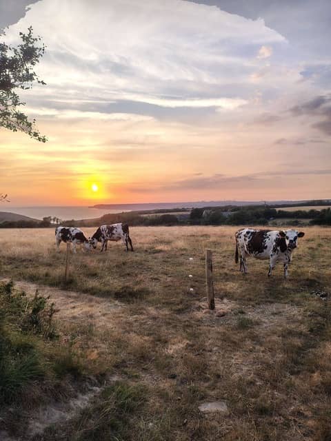 Illustration de l'événement : Visite libre de la Ferme des Monts