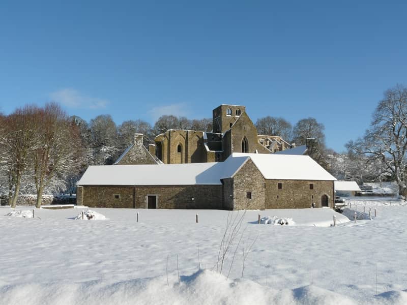 Illustration de l'événement : Marché de Noël de l'abbaye