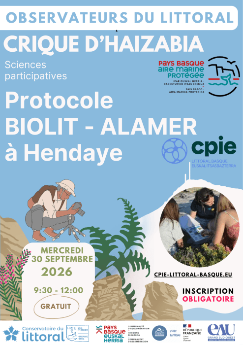 Illustration de l'événement : Devenez observateur du littoral basque et découvrez la richesse de la biodiversité