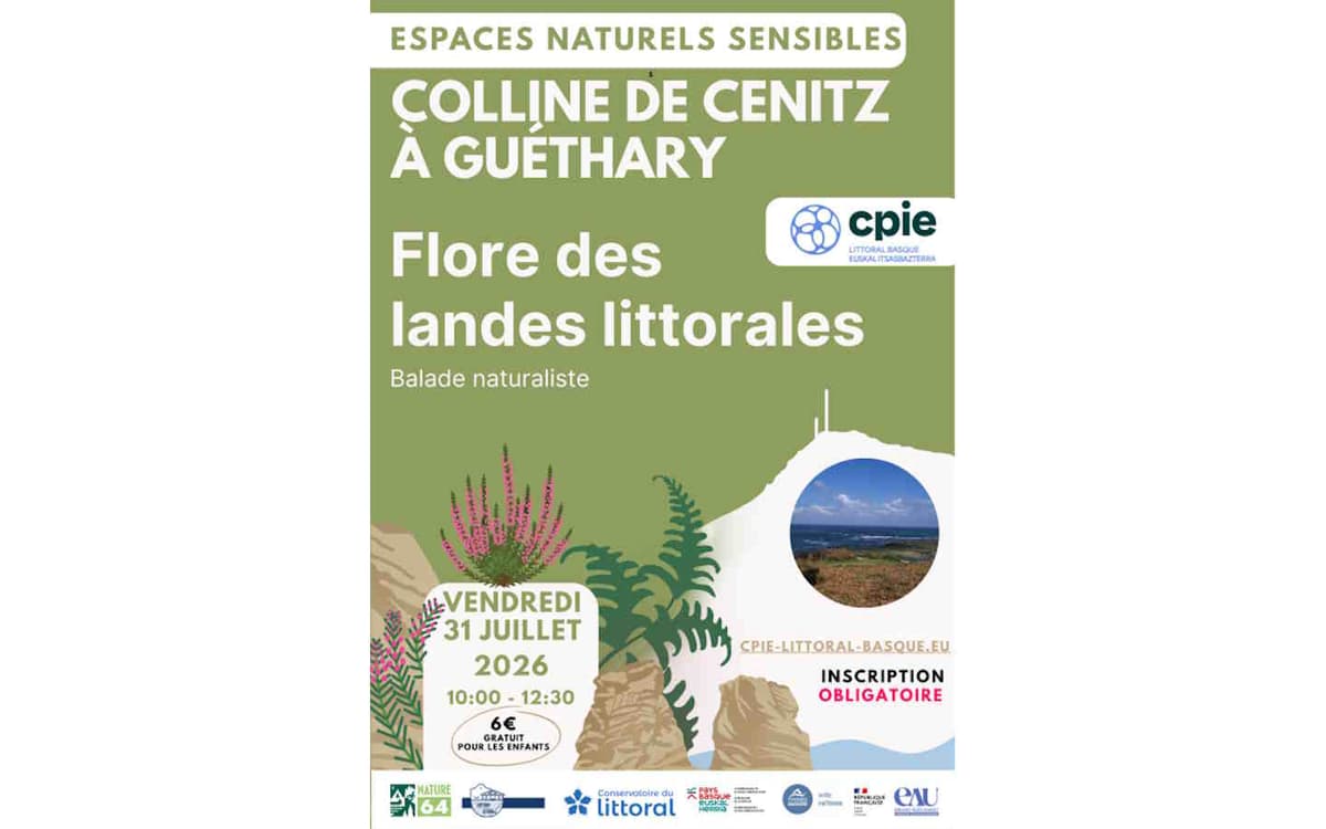 Illustration de l'événement : Balade naturaliste : flore des landes littorales sur la colline de Cénitz