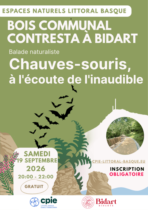 Illustration de l'événement : Balade naturaliste : Chauves-souris, à l'écoute de l'inaudible à Bidart - CPIE Littoral Basque