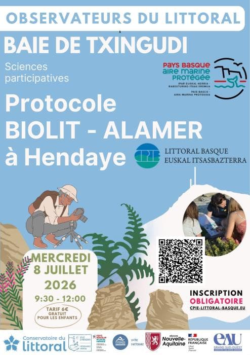 Illustration de l'événement : Observateurs du Littoral : découvrez la richesse de la biodiversité de l’estran rocheux.