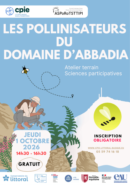 Illustration de l'événement : A la découverte des pollinisateurs du domaine d'Abbadia