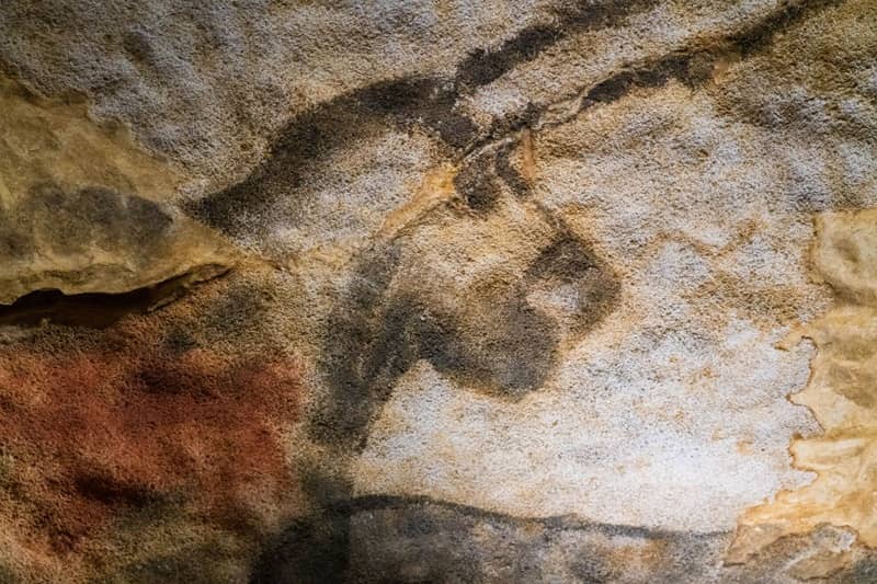 Illustration de l'événement : Journées européennes du patrimoine à Lascaux
