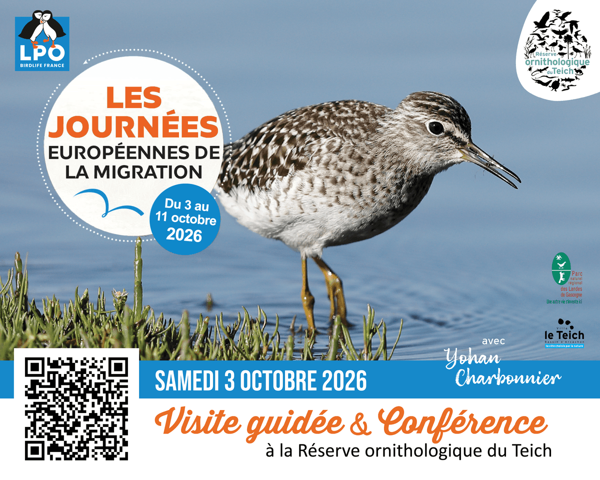 Illustration de l'événement : Conférence : « Identifier, suivre et préserver : le rôle du baguage dans l’étude des oiseaux »