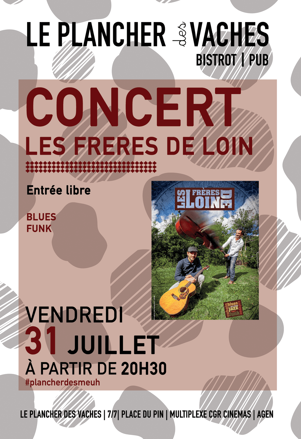 Illustration de l'événement : Concert avec les Frères de Loin