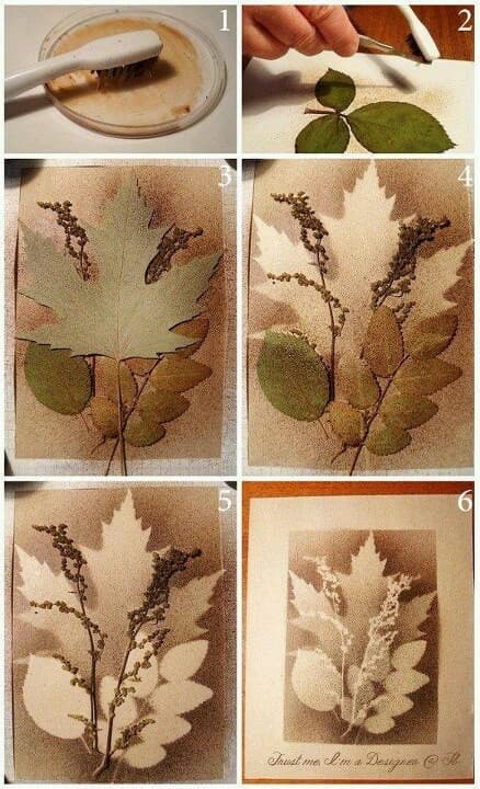 Illustration de l'événement : Atelier du samedi - Herbier en empreintes