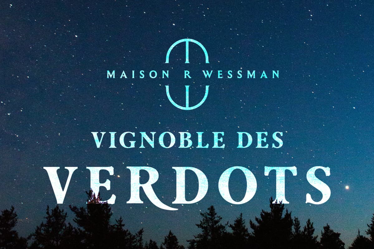 Illustration de l'événement : Vignoble des Verdots | Concert Matelyn – Sous les etoiles – Jazz & Soul