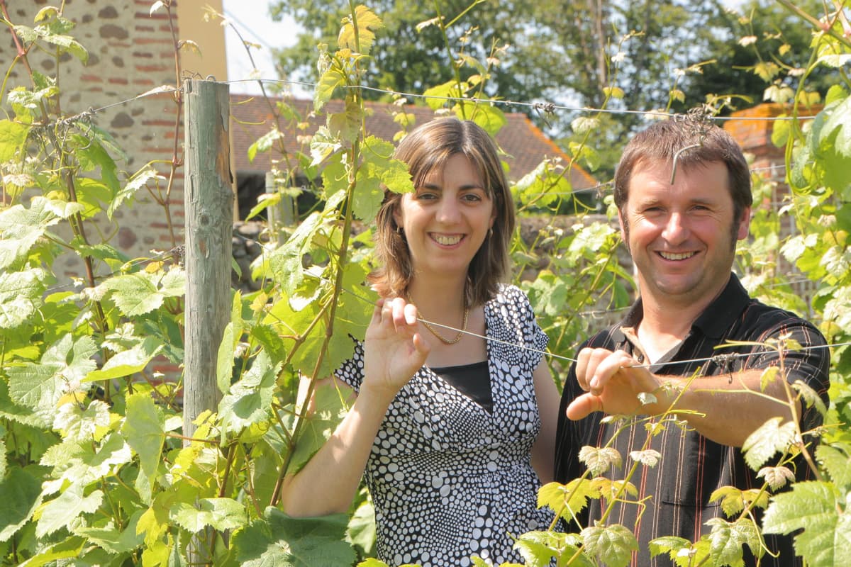 Illustration de l'événement : Apéro vigneron bio, au domaine Clos Basté