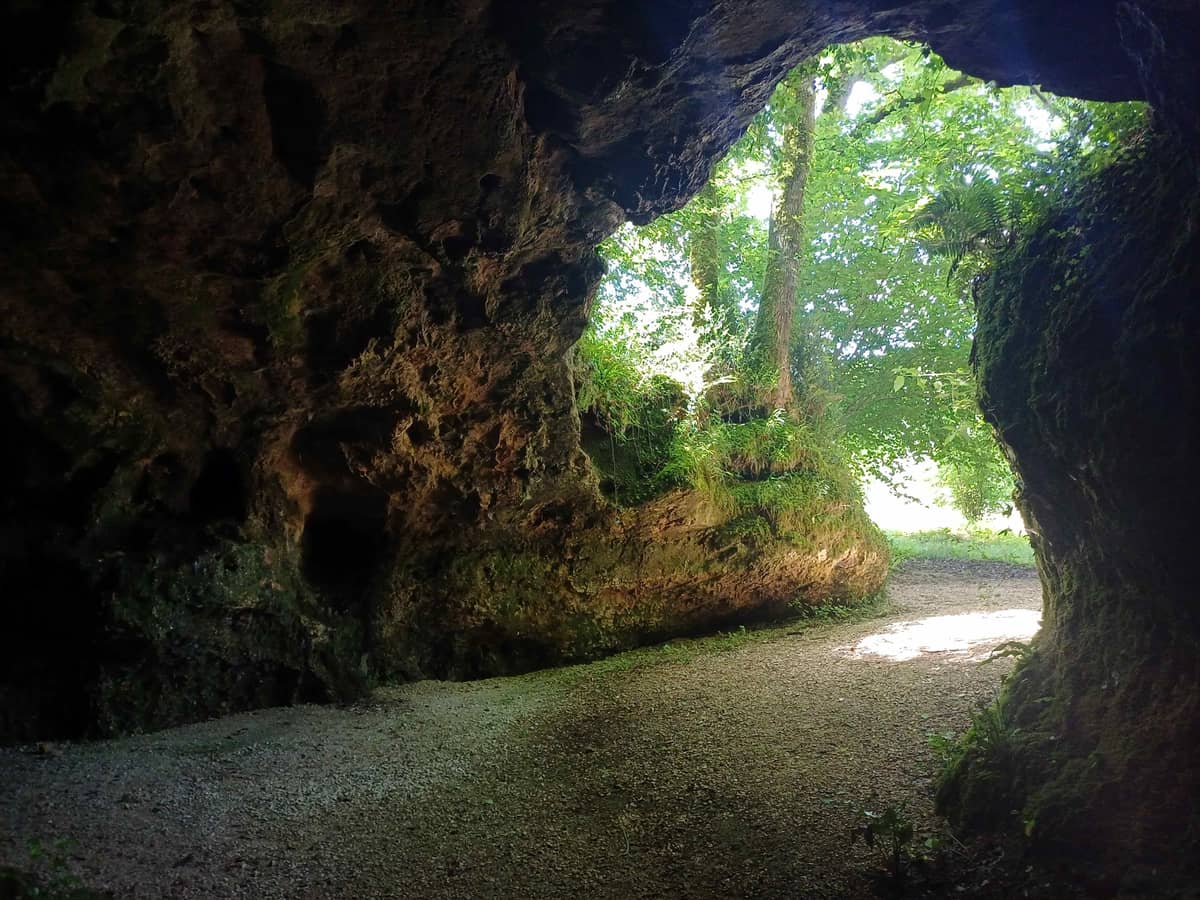 Illustration de l'événement : Visite du site archéologique des grottes du Pape - Accès rapide