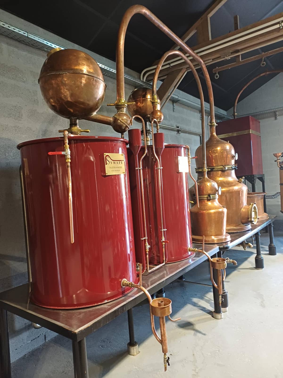 Illustration de l'événement : Ici, nos savoir-faire - Visite de la distillerie Benoît Serres