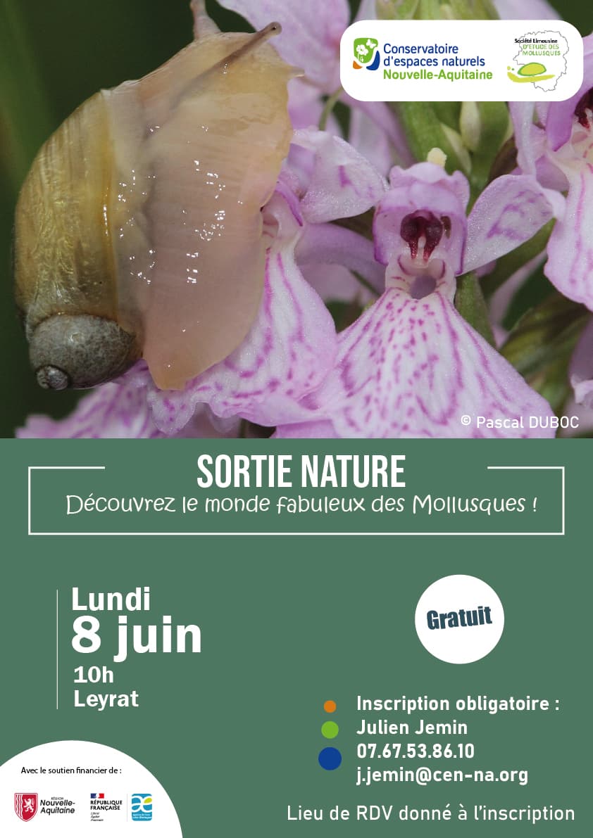 Illustration de l'événement : Sortie nature : Découvrez le monde fabuleux des Mollusques !