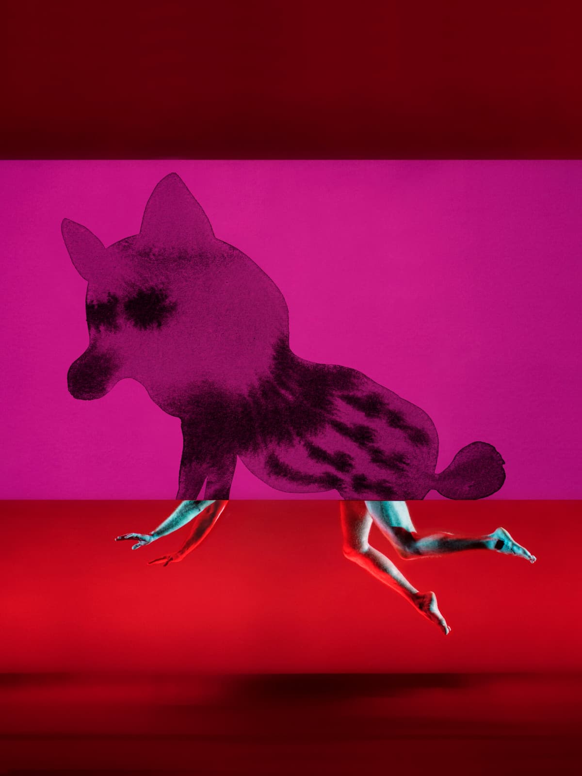 Illustration de l'événement : Mimos (IN) : Des chimères dans la tête