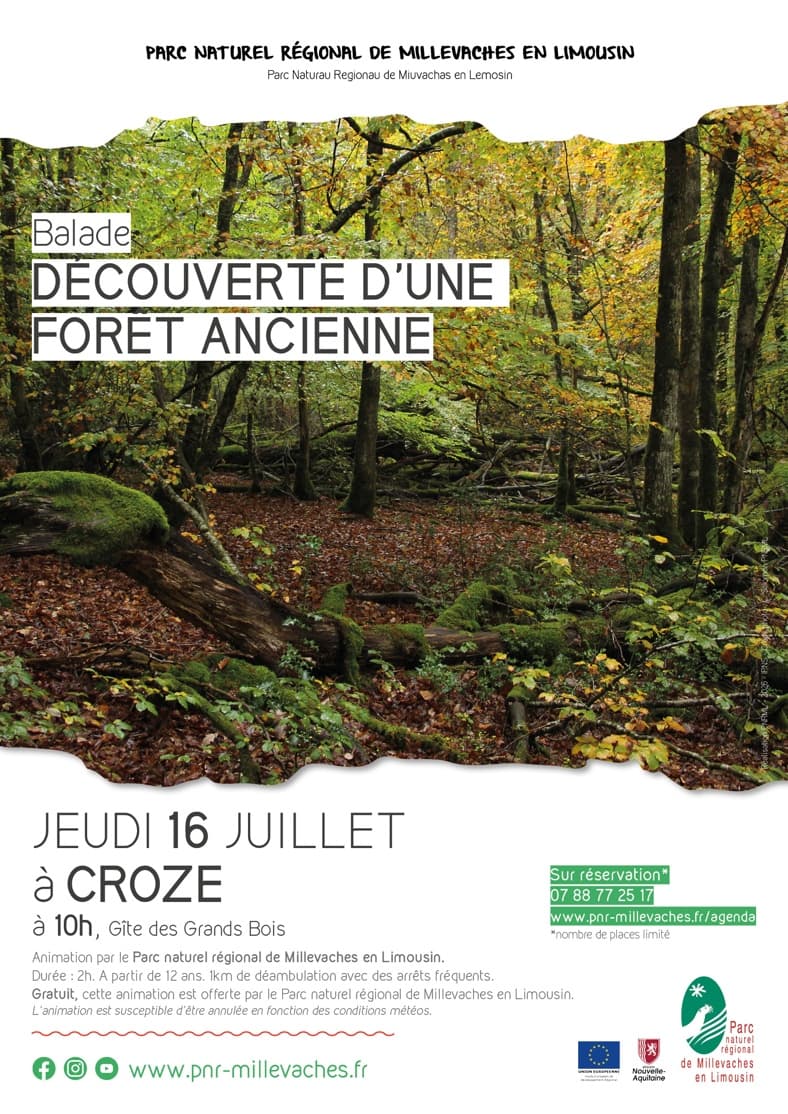 Illustration de l'événement : Découverte d'une forêt ancienne