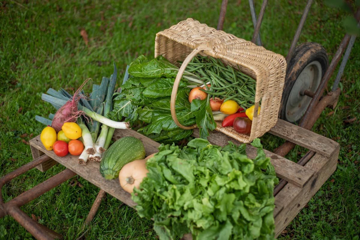 Illustration de l'événement : Marché des Producteurs de Pays à Cherveux
