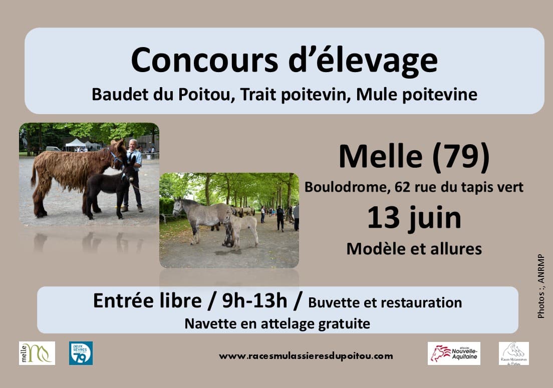 Illustration de l'événement : Concours départemental races mulassières du Poitou de Melle