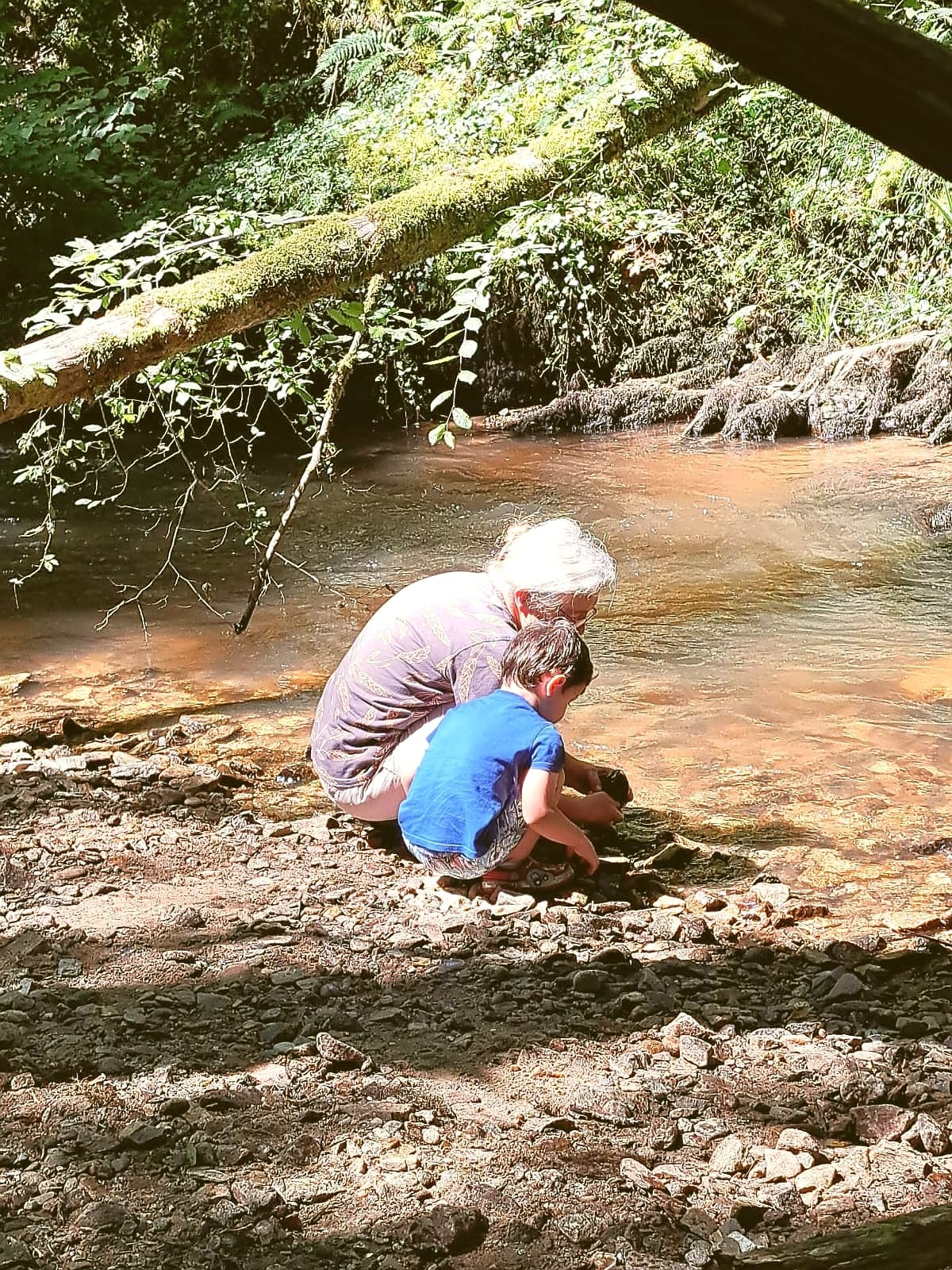 Illustration de l'événement : Atelier-découverte "Le petite peuple des herbes" au Lac de Feyt