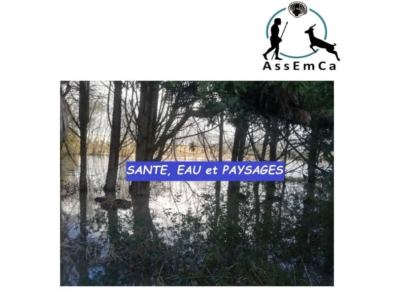 Illustration de l'événement : Forum Santé, eau et paysages : une histoire qui nous traverse
