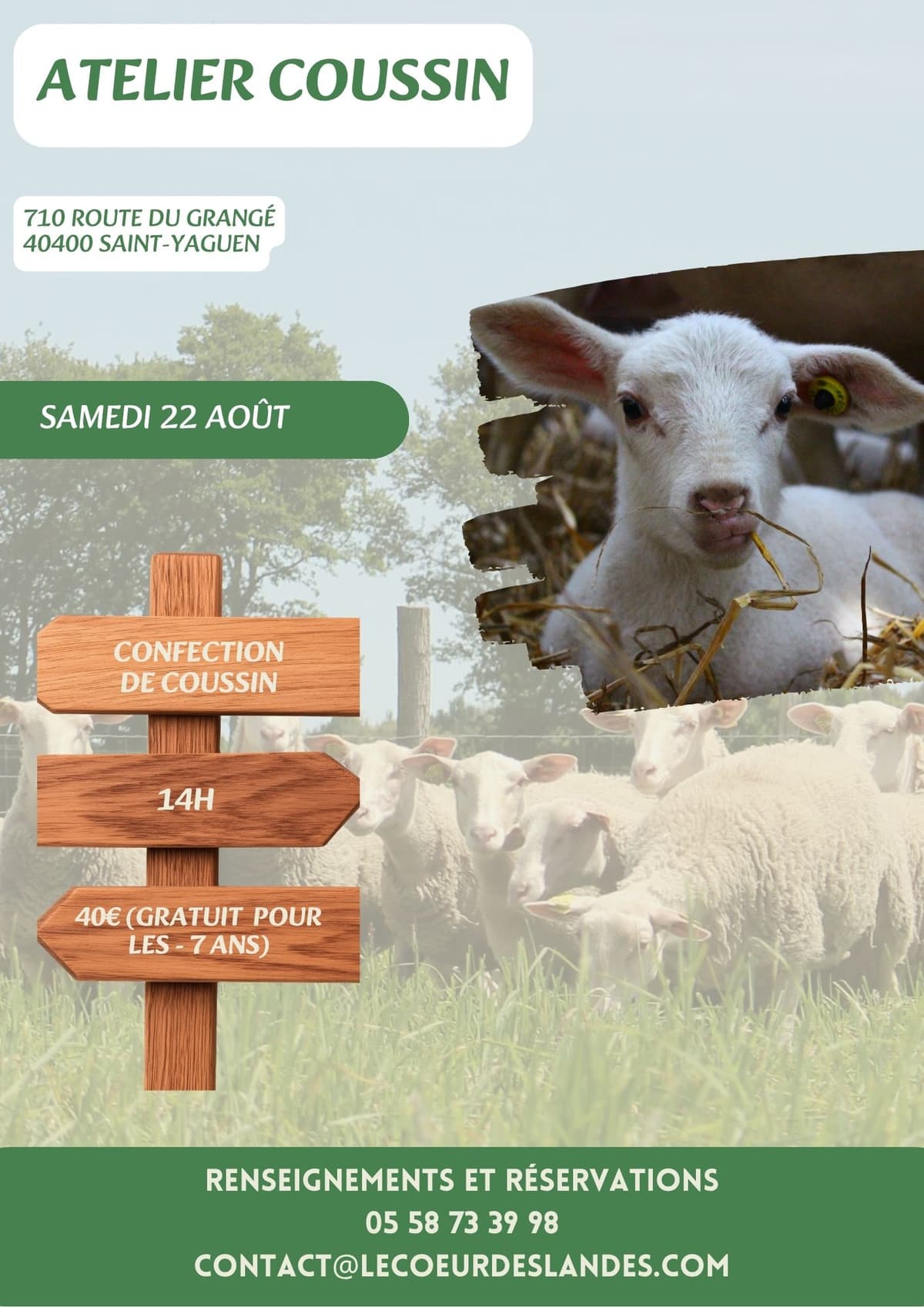 Illustration de l'événement : Découverte de la bergerie de Sarah : Atelier coussin
