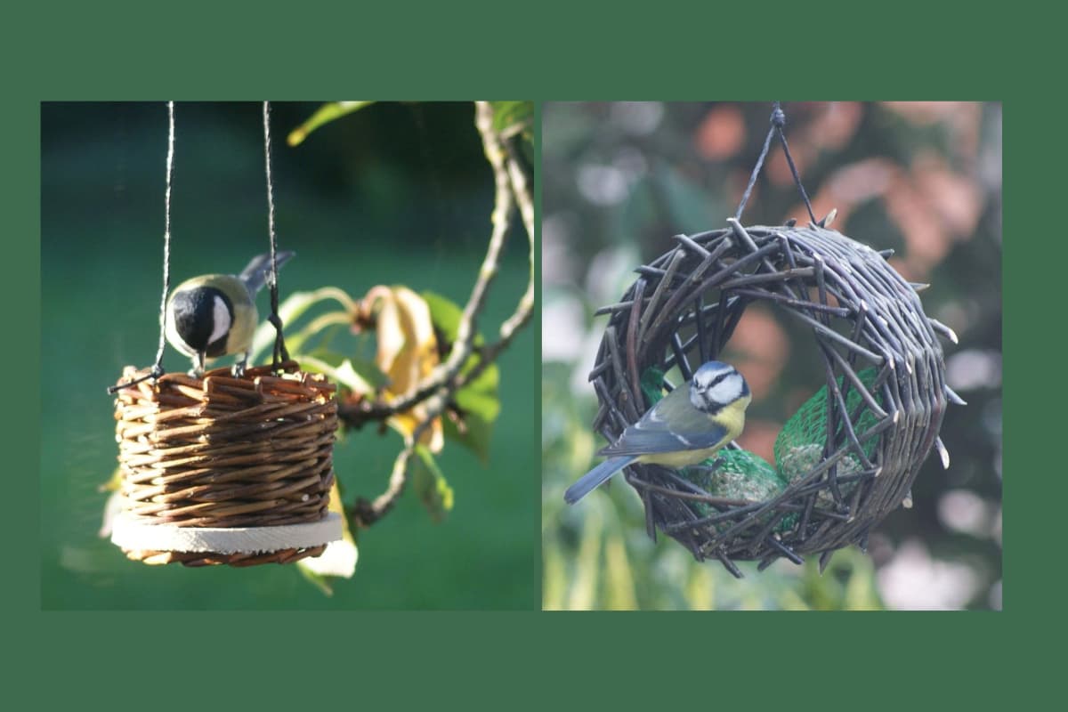 Illustration de l'événement : Stage de vannerie adulte | Créez deux mangeoires à oiseaux en osier