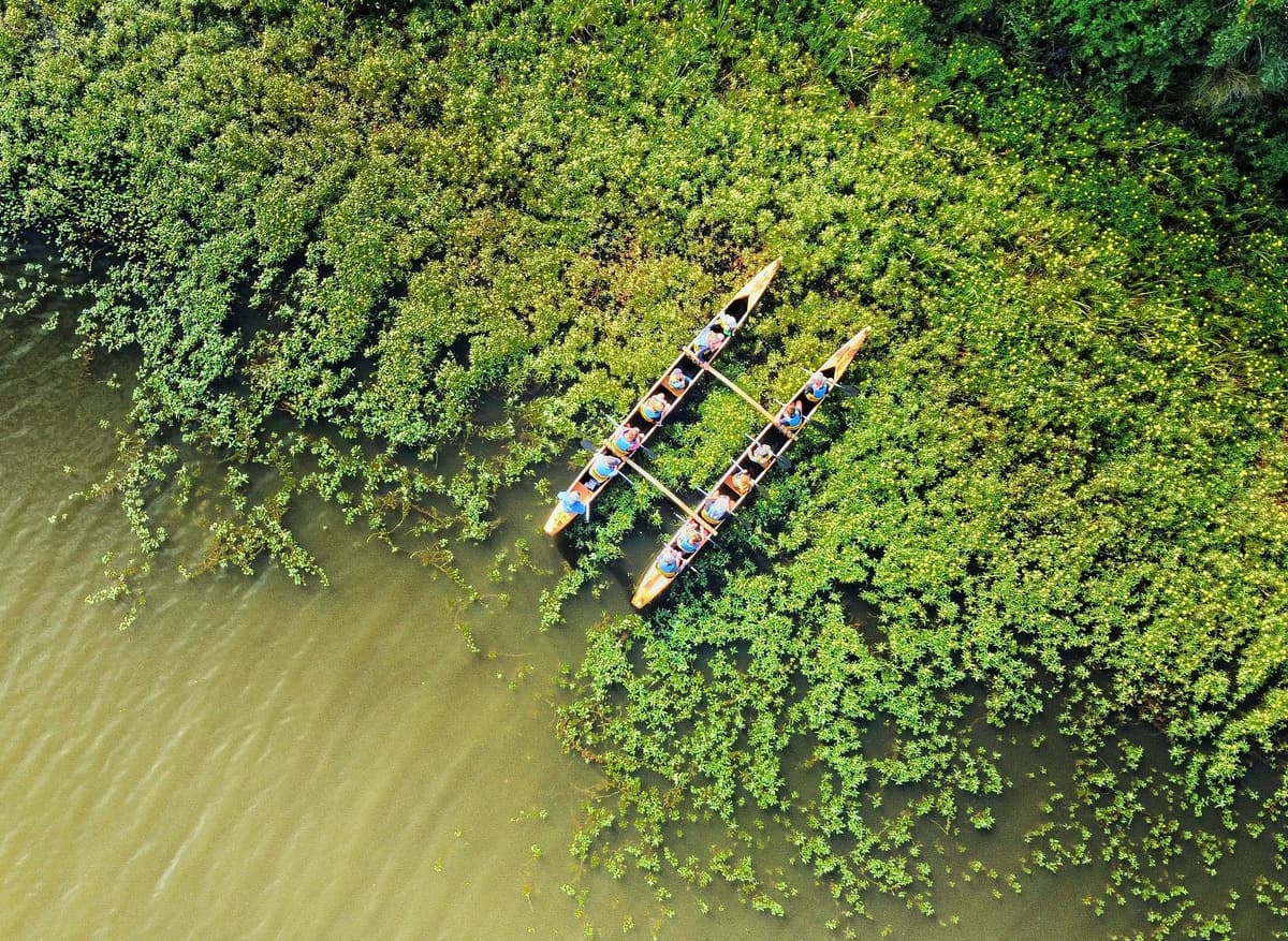 Illustration de l'événement : Balade nature en pirogue hawaïenne