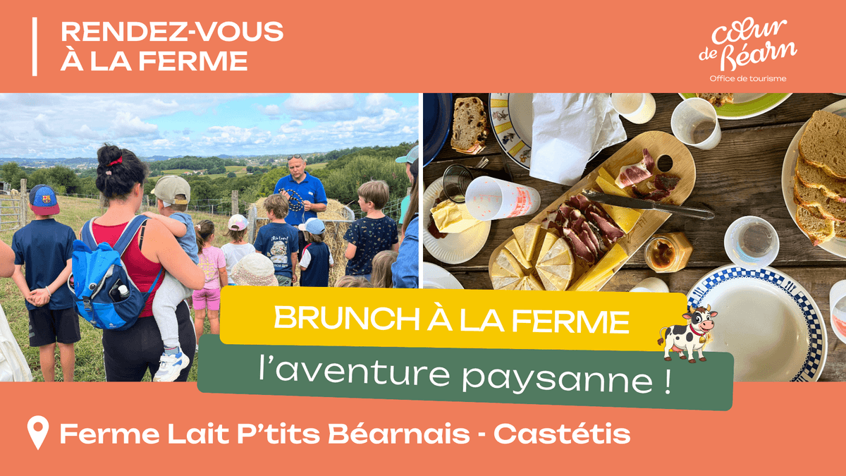Illustration de l'événement : Brunch à la ferme
