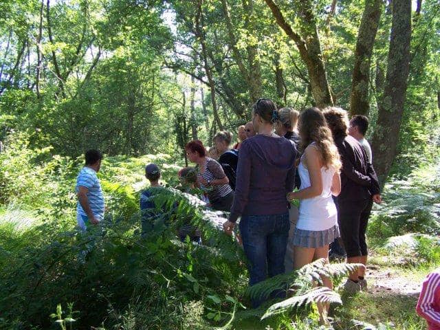Illustration de l'événement : Promenade nature en forêt sur l'histoire et la gestion de la forêt Landaise