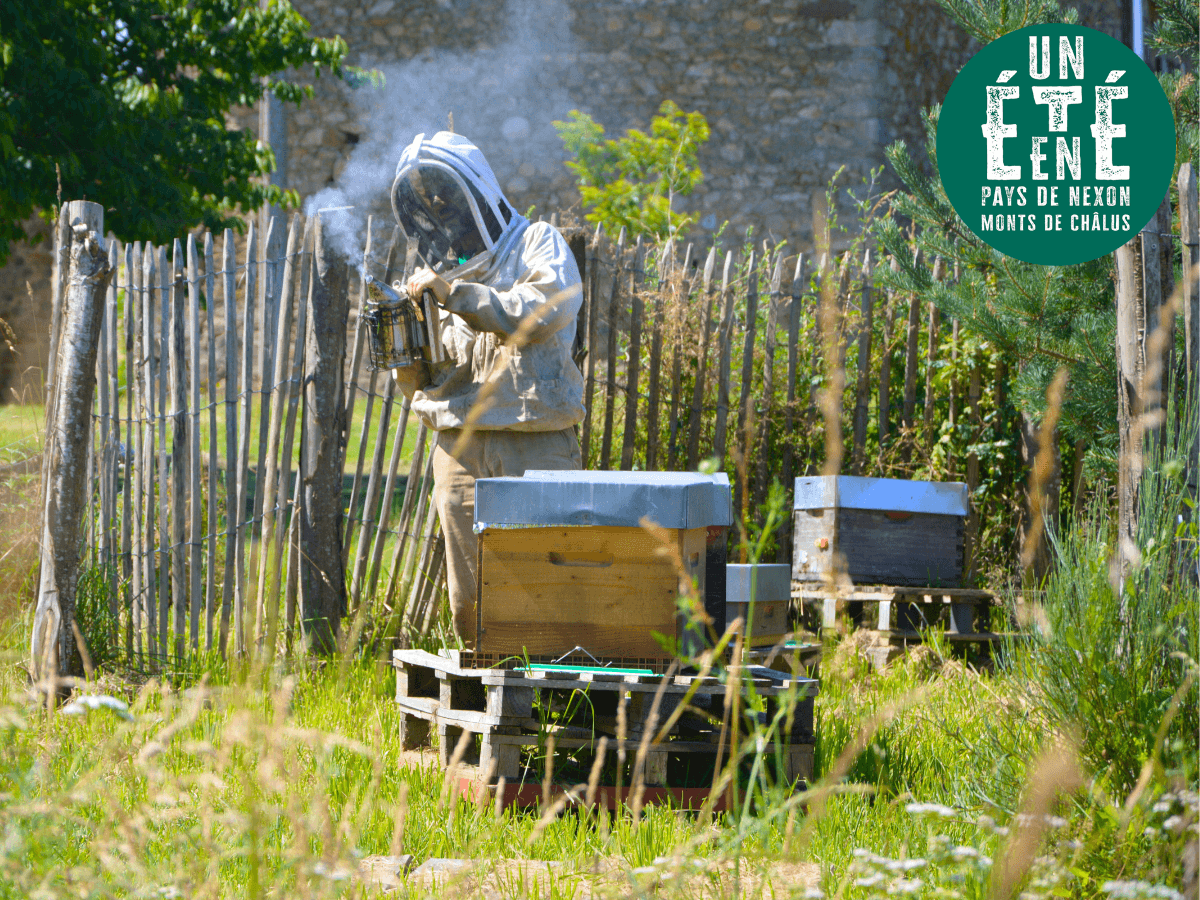 Illustration de l'événement : À la rencontre des producteurs - La miellerie Paysages de Miels