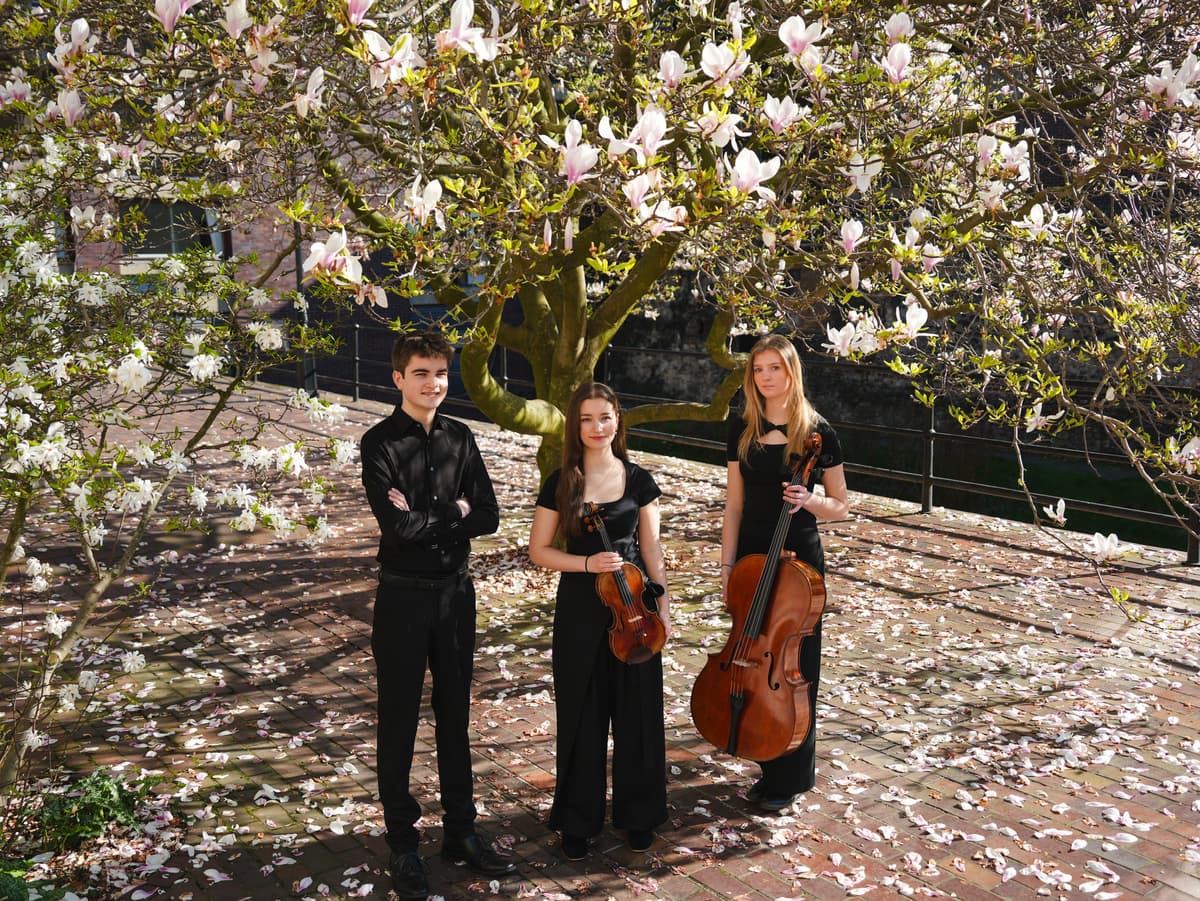 Illustration de l'événement : Festival Musical de Saint-Yrieix : Trio Aredius
