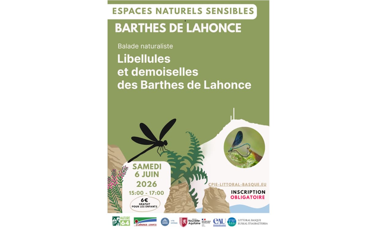 Illustration de l'événement : Balade naturaliste : Libellules et demoiselles des Barthes de Lahonce