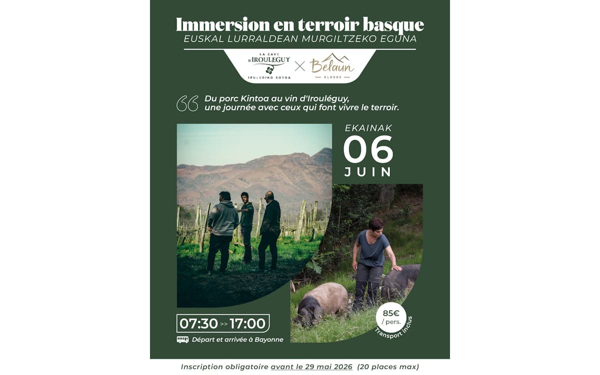 Illustration de l'événement : Immersion en terroir basque : Belaun et Cave d'Irouléguy