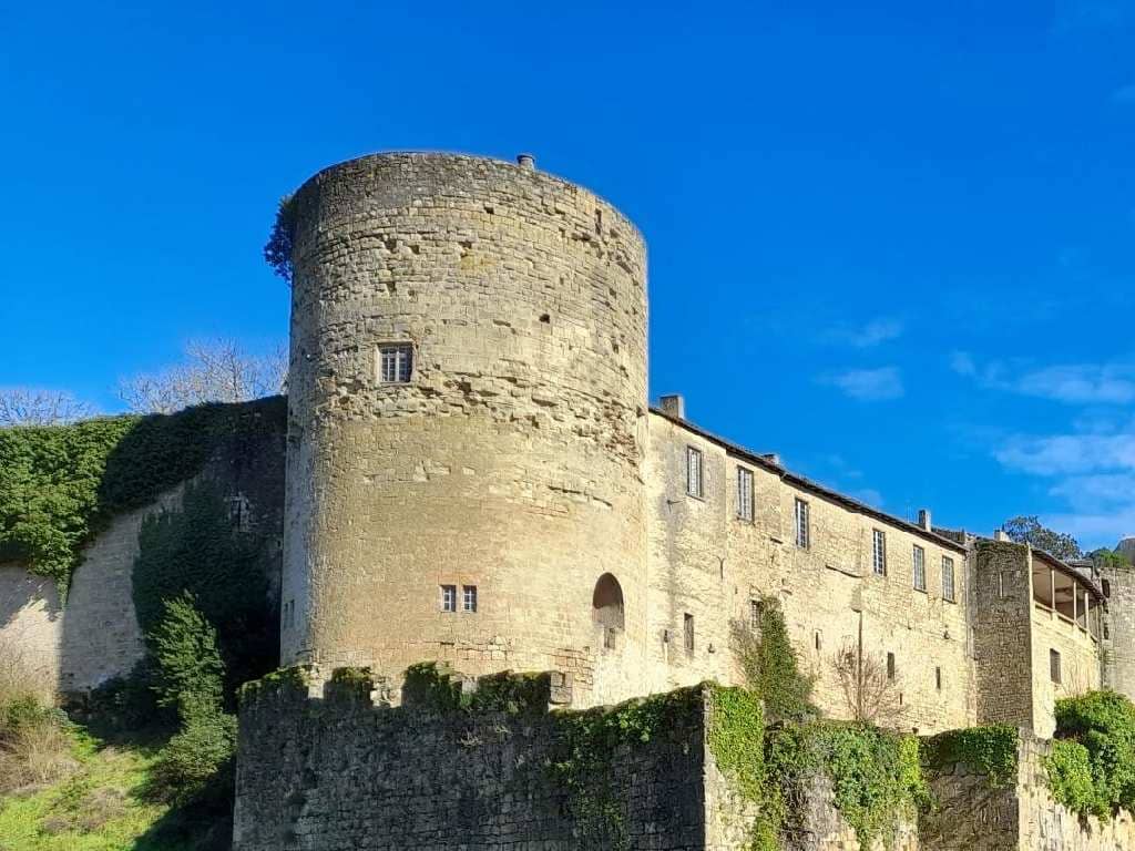 Illustration de l'événement : Visite guidée - Le château des Quat'Sos