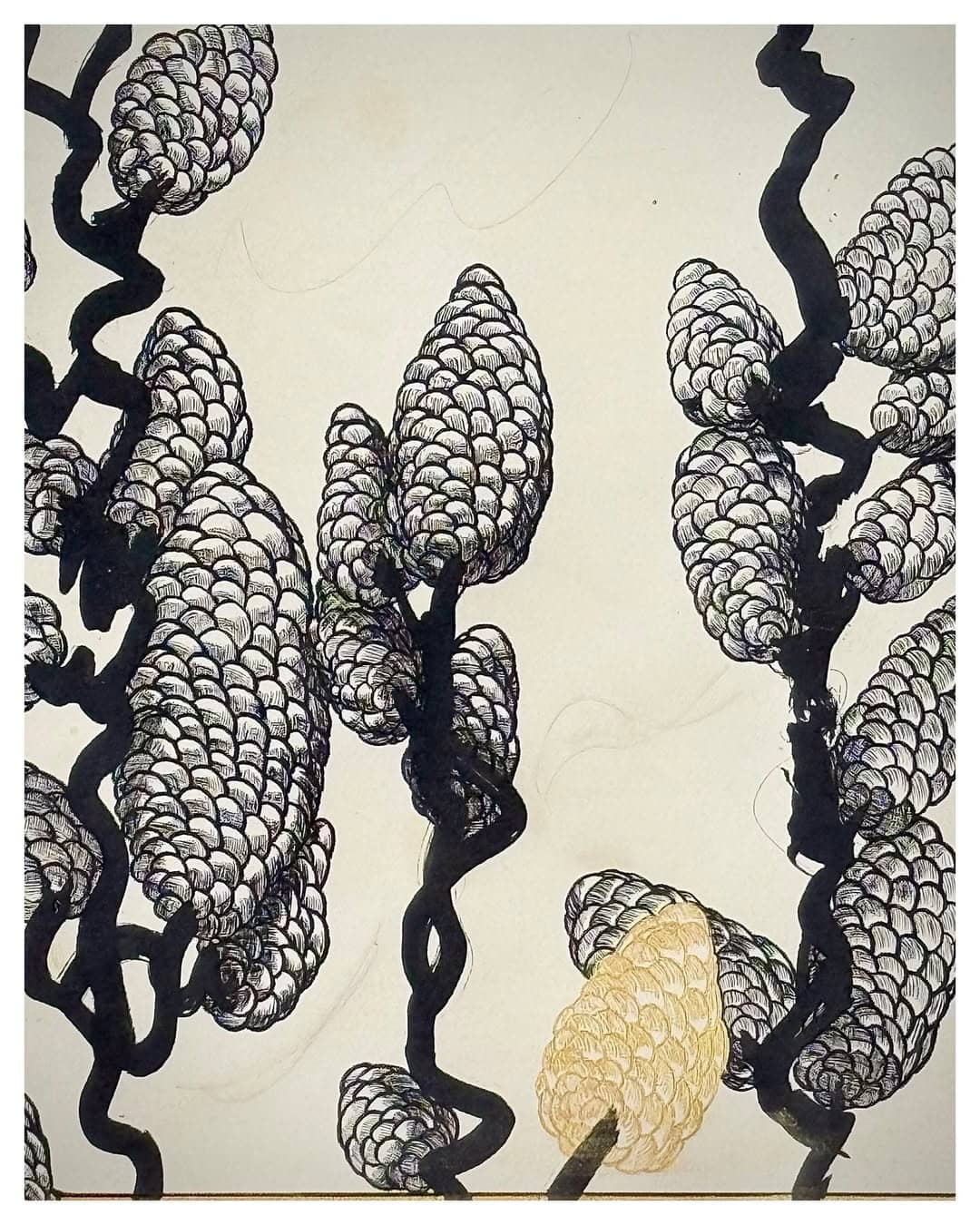 Illustration de l'événement : Exposition de l'artiste Clotilde Cazamajour