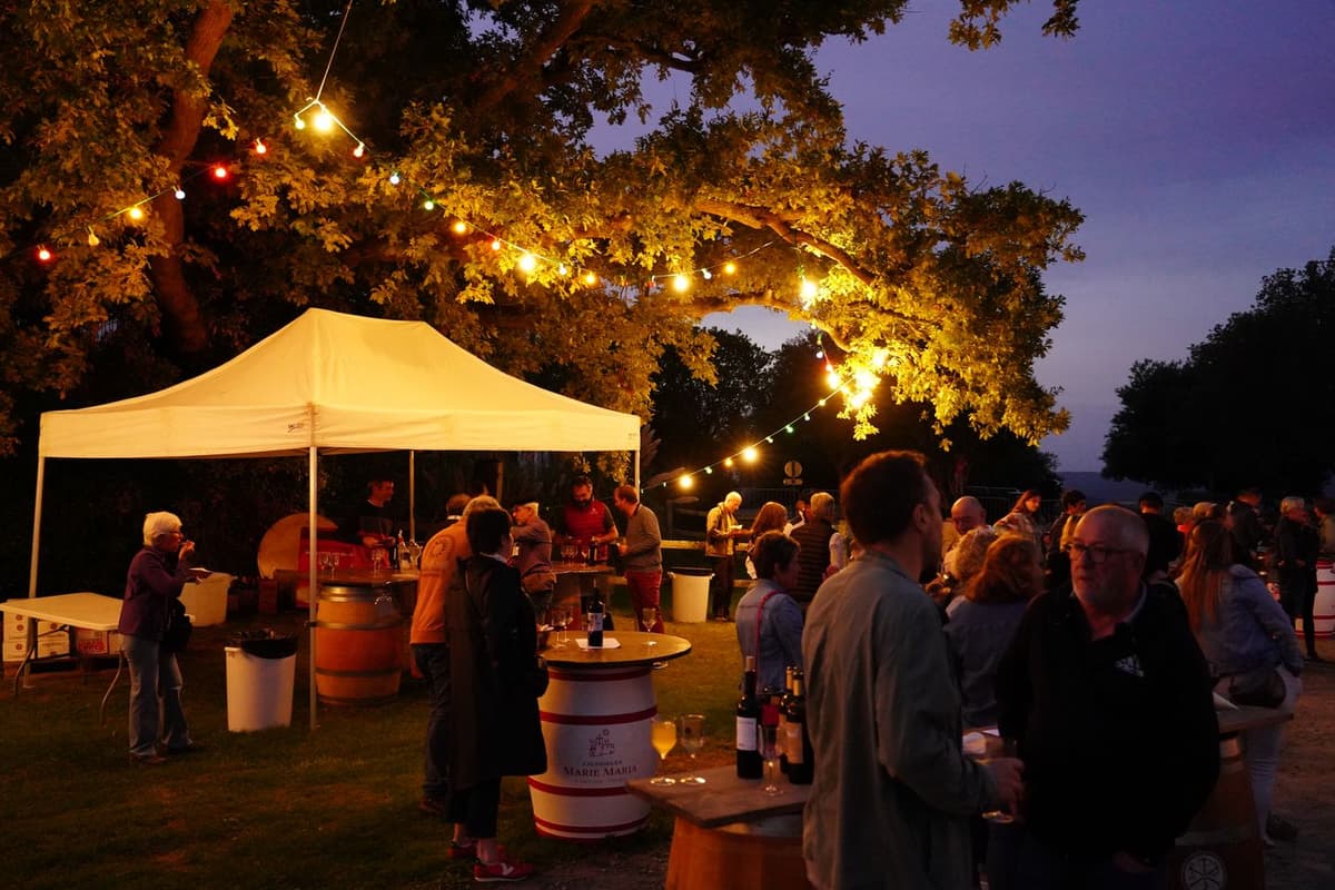Illustration de l'événement : Soirée guinguette, au Château de Crouseilles