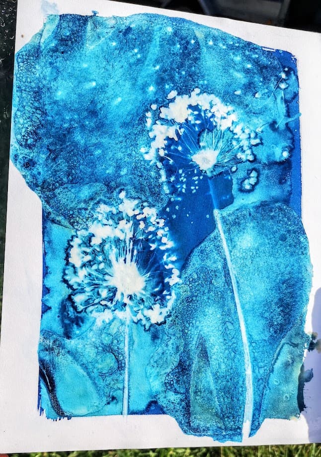 Illustration de l'événement : Atelier "Cyanotype : Voyage photographique"