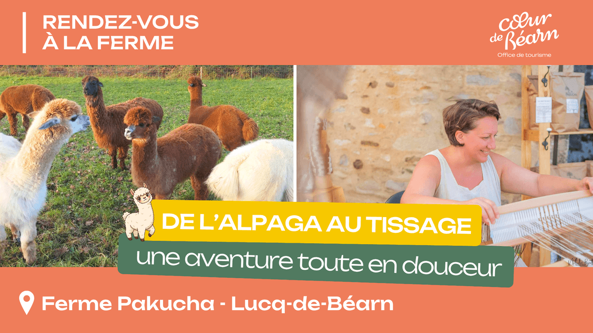 Illustration de l'événement : Rendez-vous à la ferme : De l'alpaga au tissage