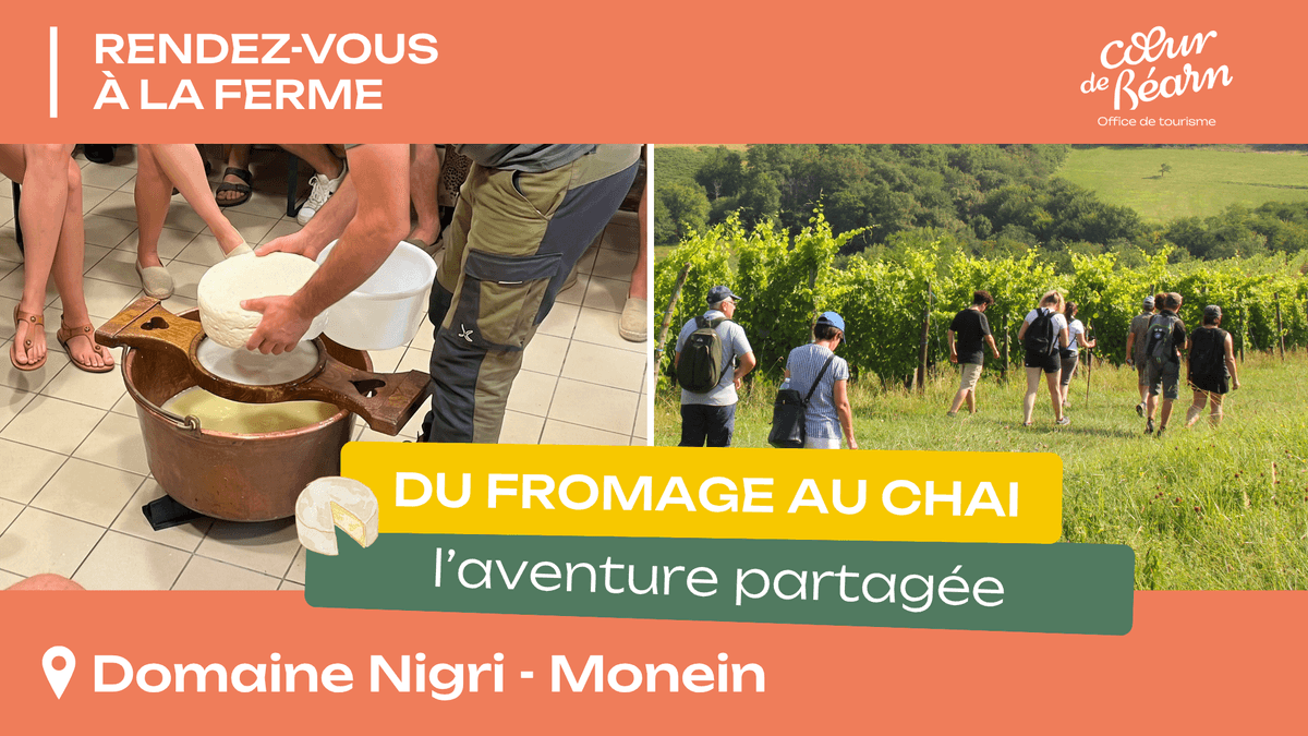 Illustration de l'événement : Rendez-vous à la ferme : Du fromage au chai