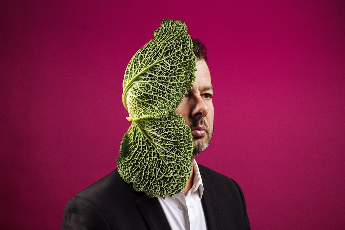 Illustration de l'événement : Limoges Music Vibes - Daniel Zimmermann